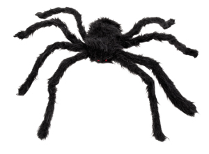 Grote spin harig zwart