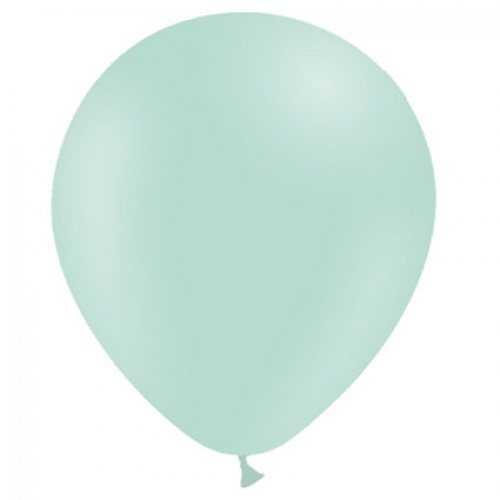 Autorisatie omhelzing been Ballonnen pastel groen MAT 10 stuks - Jan Monnikendam